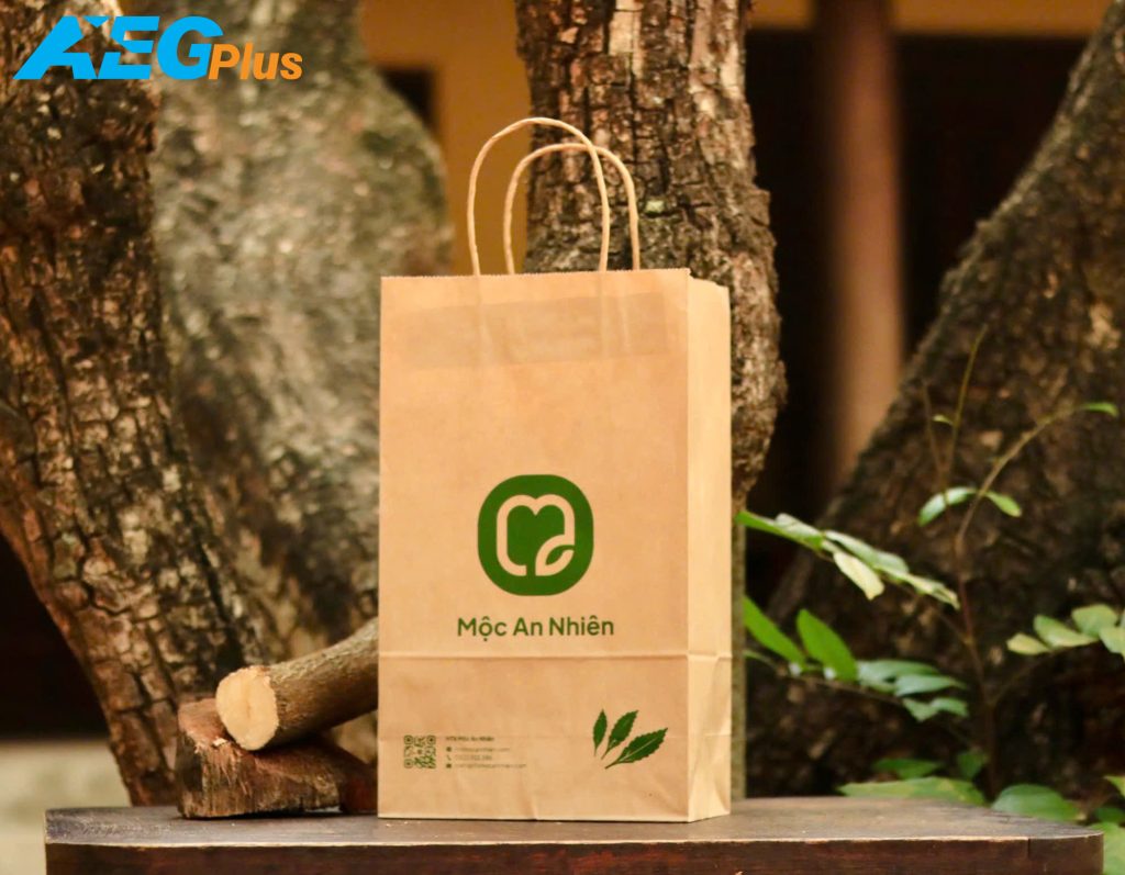 túi giấy kraft cho shop online