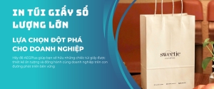 in-tui-giay-kraft-so-luong-lon-lua-chon-dot-pha-cho-doanh-nghiep in-tui-giay-kraft-so-luong-lon-lua-chon-dot-pha-cho-doanh-nghiep