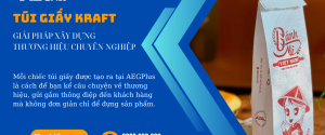 tui-giay-kraft-giai-phap-xay-dung-thuong-hieu-chuyen-nghiep tui-giay-kraft-giai-phap-xay-dung-thuong-hieu-chuyen-nghiep