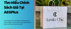chinh-sach-gia-tai-xuong-in-tui-giay-aegplus chinh-sach-gia-tai-xuong-in-tui-giay-aegplus