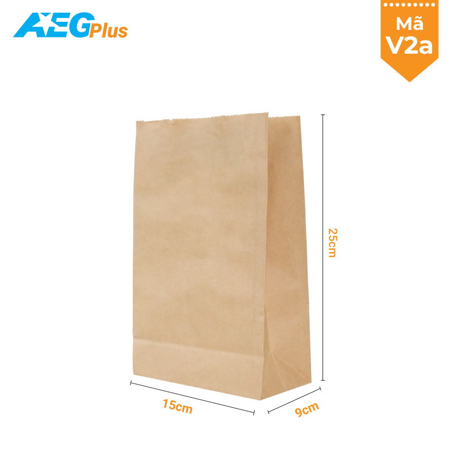 Túi giấy kraft V2A