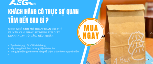 shop-nho-co-can-su-dung-tui-giay-kraft-khong