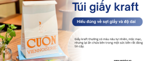 tui-giay-kraft-hieu-dung-ve-soi-giay-va-do-giai