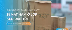 tui-giay-kraft-bi-mat-nam-o-keo-dan-tui