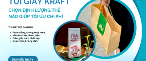 tui-giay-kraft-chon-dinh-luong-the-nao-de-toi-uu-chi-phi