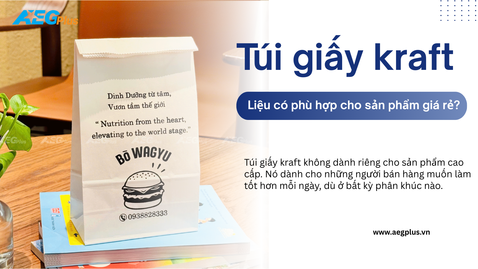 Túi giấy kraft liệu có phù hợp cho sản phẩm giá rẻ?