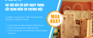 Vai trò của túi giấy kraft trong xây dựng niềm tin thương hiệu