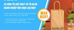 so sánh túi giấy kraft và túi nilon