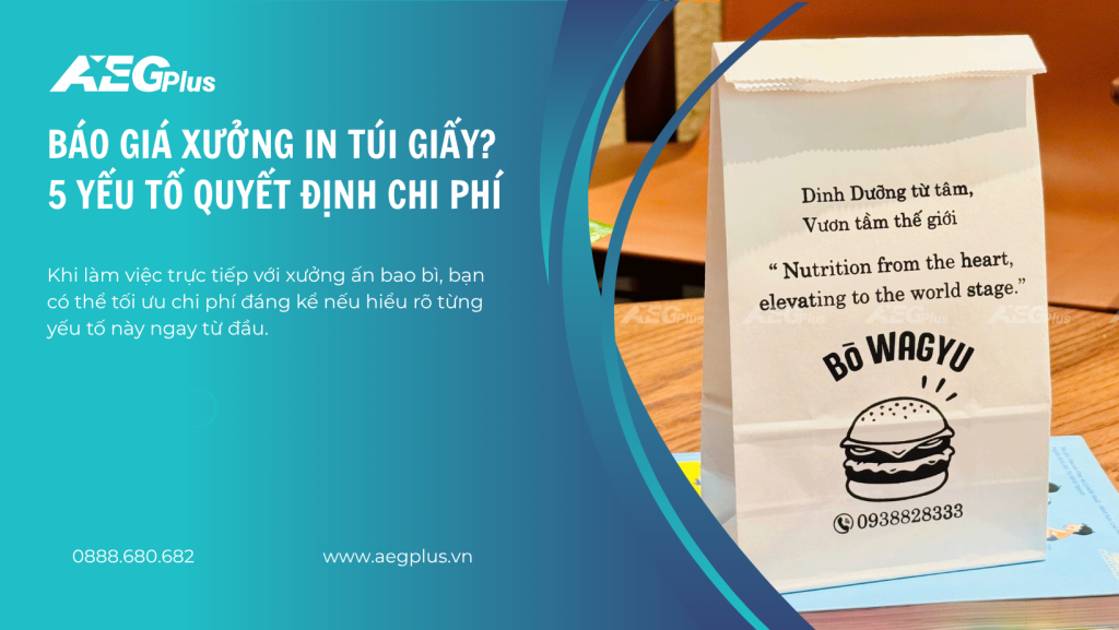 Báo giá xưởng in túi giấy? 5 yếu tố quyết định chi phí