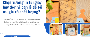 Chọn xưởng in túi giấy hay đơn vị bán lẻ để tối ưu giá và chất lượng?