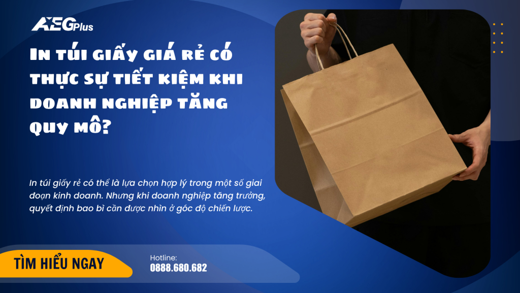 In túi giấy giá rẻ có thực sự tiết kiệm khi doanh nghiệp tăng quy mô?