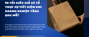 In túi giấy giá rẻ có thực sự tiết kiệm khi doanh nghiệp tăng quy mô?