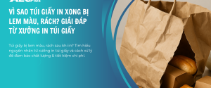 Túi giấy bị lem màu, rách sau khi in