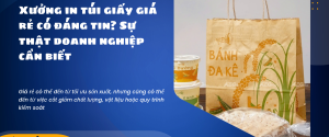 Xưởng in túi giấy giá rẻ có đáng tin? Sự thật doanh nghiệp cần biết