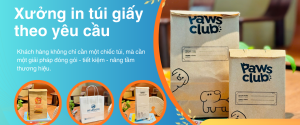 Xưởng in túi giấy theo yêu cầu