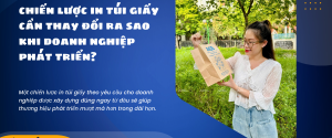chiến lược in túi giấy cần thay đổi ra sao khi doanh nghiệp phát triển?
