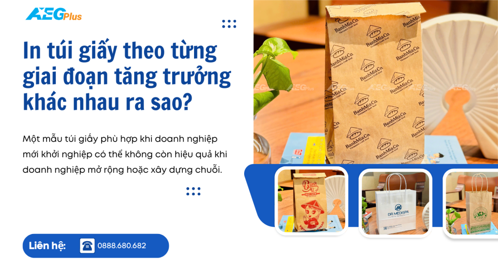 in túi giấy theo từng giai đoạn tăng trưởng khác nhau ra sao