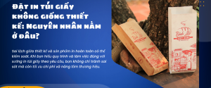 Đặt in túi giấy không giống thiết kế Nguyên nhân nằm ở đâu