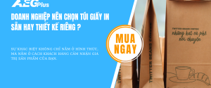Túi giấy in sẵn và túi giấy thiết kế riêng nên chọn loại nào