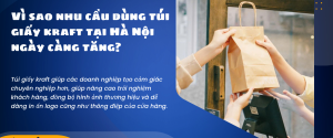 Tại Hà Nội mua túi giấy kraft ở đâu uy tín, giá tốt